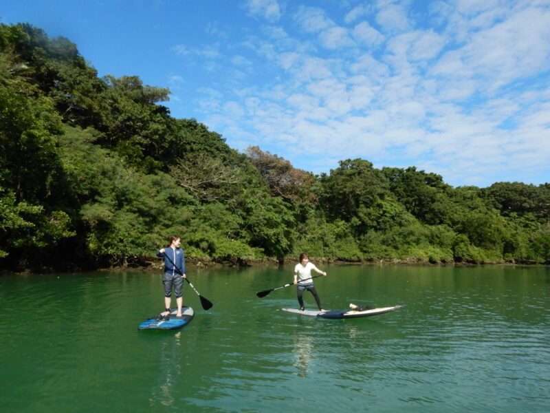 【沖縄本島・中部】3密回避で沖縄の自然を楽しもう！マングローブSUPツアー（写真データプレゼント付き）（No.144）
