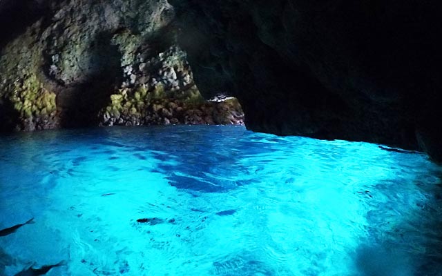 【沖縄・恩納村】1組完全貸切・当日予約OK！「青の洞窟」体験ダイビングで海中世界をのぞきに行こう！《ツアー写真＆動画無料プレゼント・エサやり体験付き》（No.2）