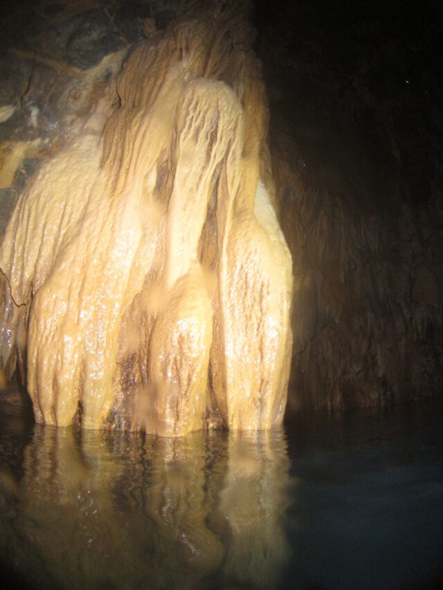 海底鍾乳洞 辺戸岬を潜る