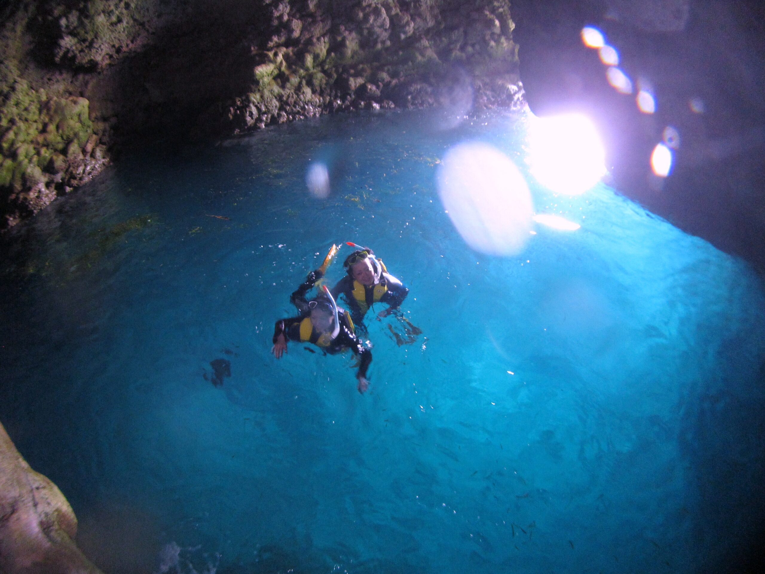 「青の洞窟」シュノーケル＆ジンベエザメと体験ダイビング（No.83）